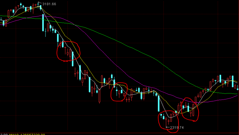 泰康人寿2024年报披露：深耕新寿险，开拓高质量发展新局